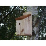 Bird House - Nesting Box 